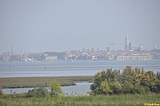 Parco San Giuliano  - 208